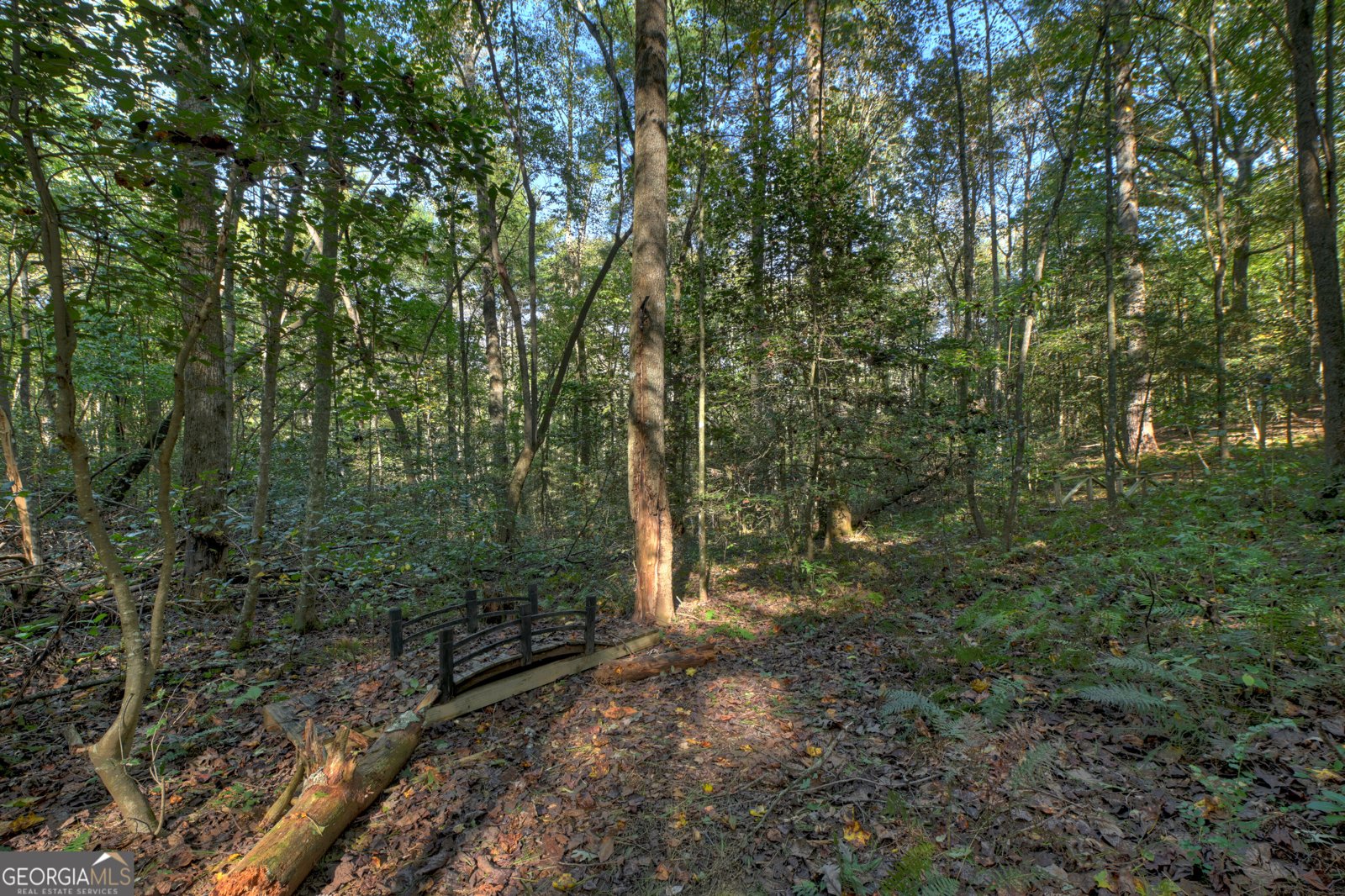 196 Mossy Rock Lane Ellijay - Photo 52
