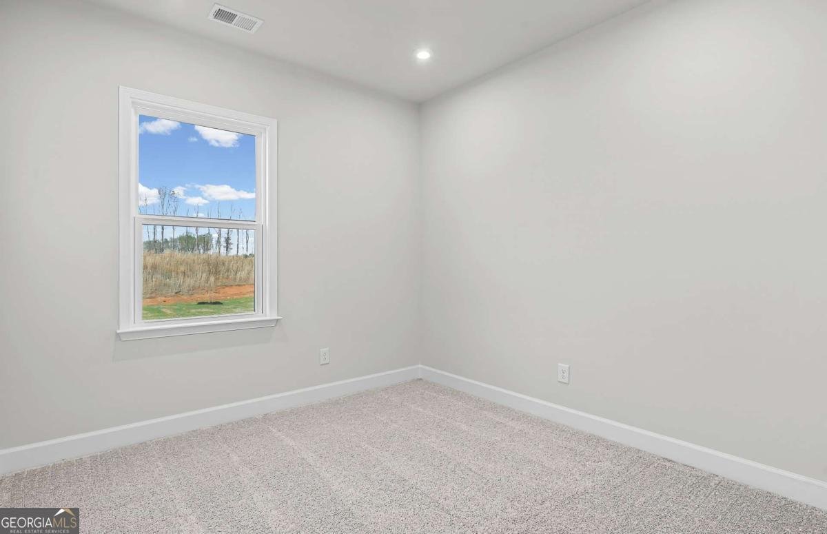 240 Delilah Street Mcdonough - Photo 14