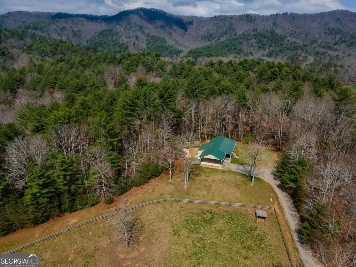 1132 Hells Hollow Road Blue Ridge - Photo 41