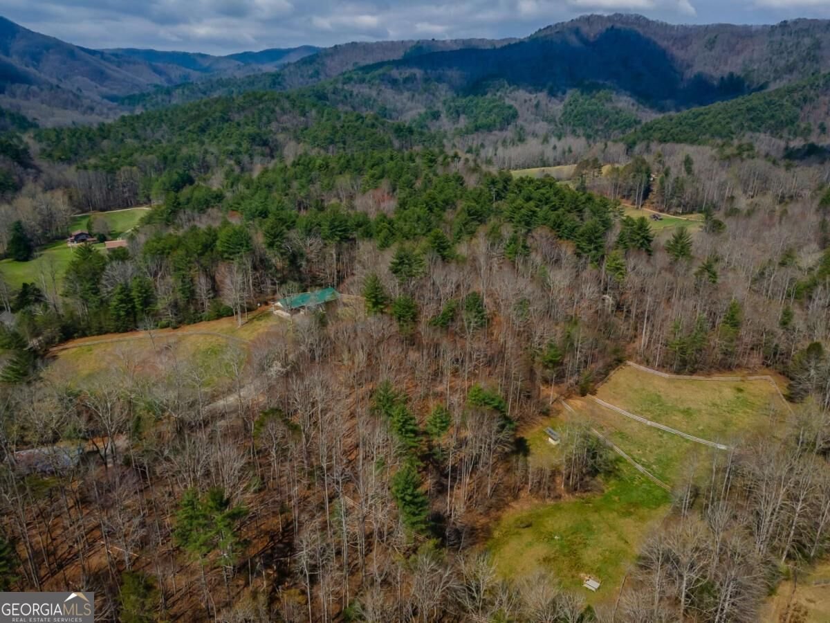 1132 Hells Hollow Road Blue Ridge - Photo 49