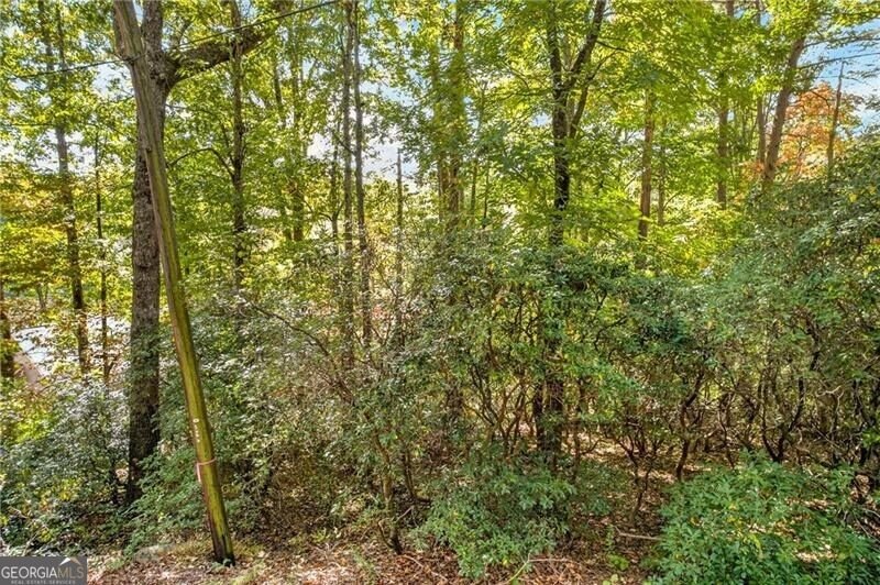 247 Hillside Drive Clayton - Photo 39