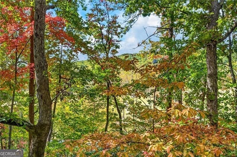 247 Hillside Drive Clayton - Photo 42