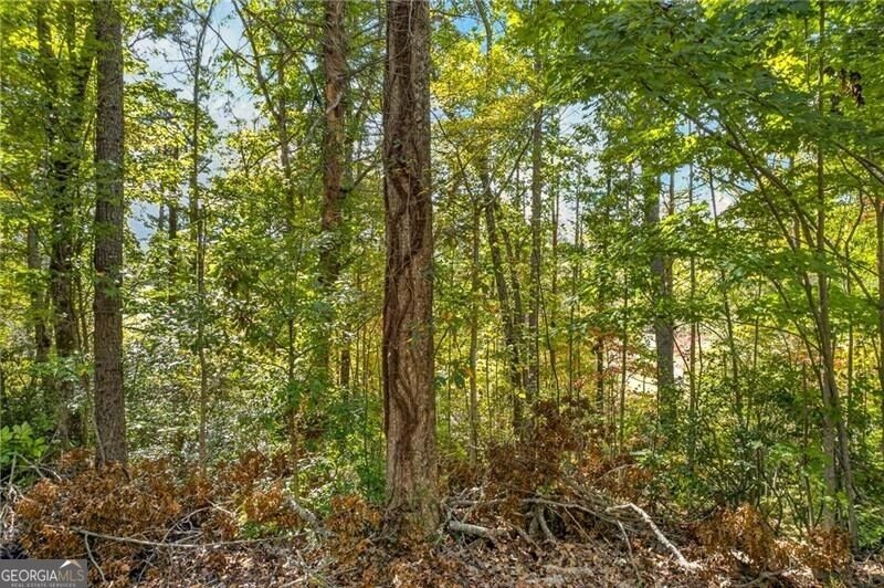 247 Hillside Drive Clayton - Photo 43