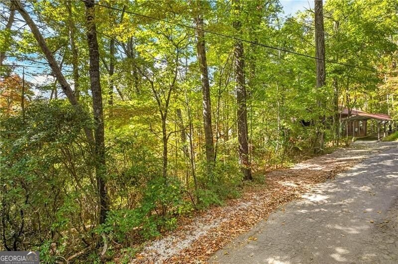 247 Hillside Drive Clayton - Photo 46