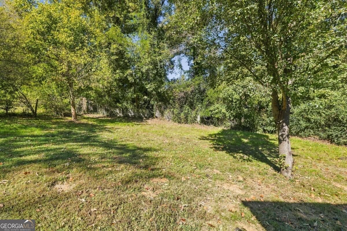6269 Hillpine Drive Douglasville - Photo 36