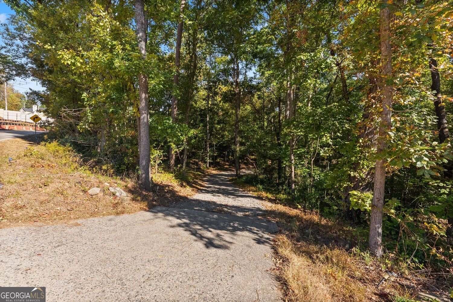 4735 Pilgrim Mill Road Cumming - Photo 49