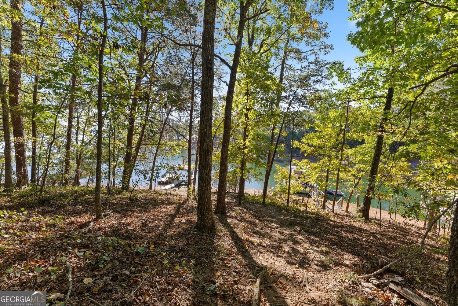 4735 Pilgrim Mill Road Cumming - Photo 52