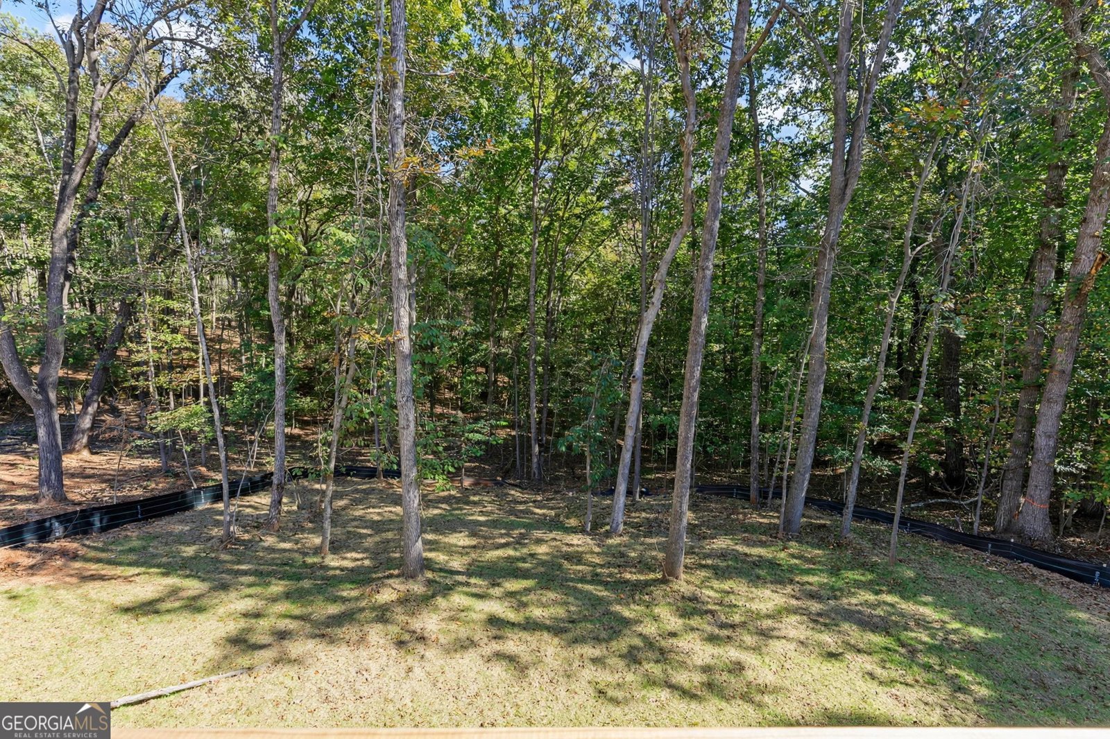 4336 Greenway Road Lula - Photo 14