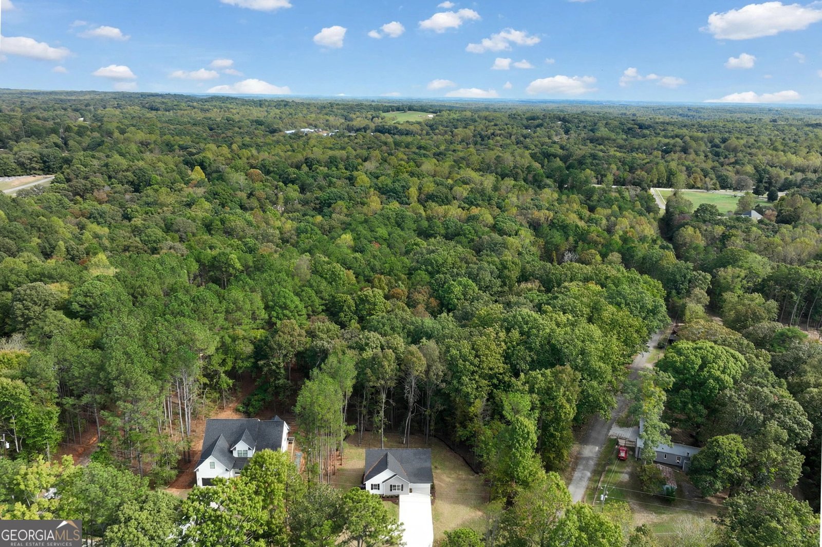 4336 Greenway Road Lula - Photo 51