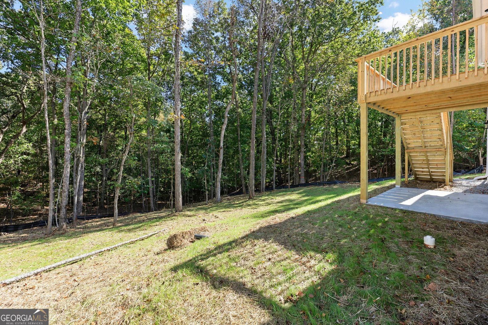 4336 Greenway Road Lula - Photo 56