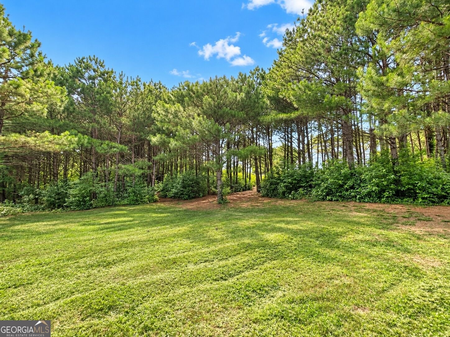 642 Lower Birmingham Road Canton - Photo 56