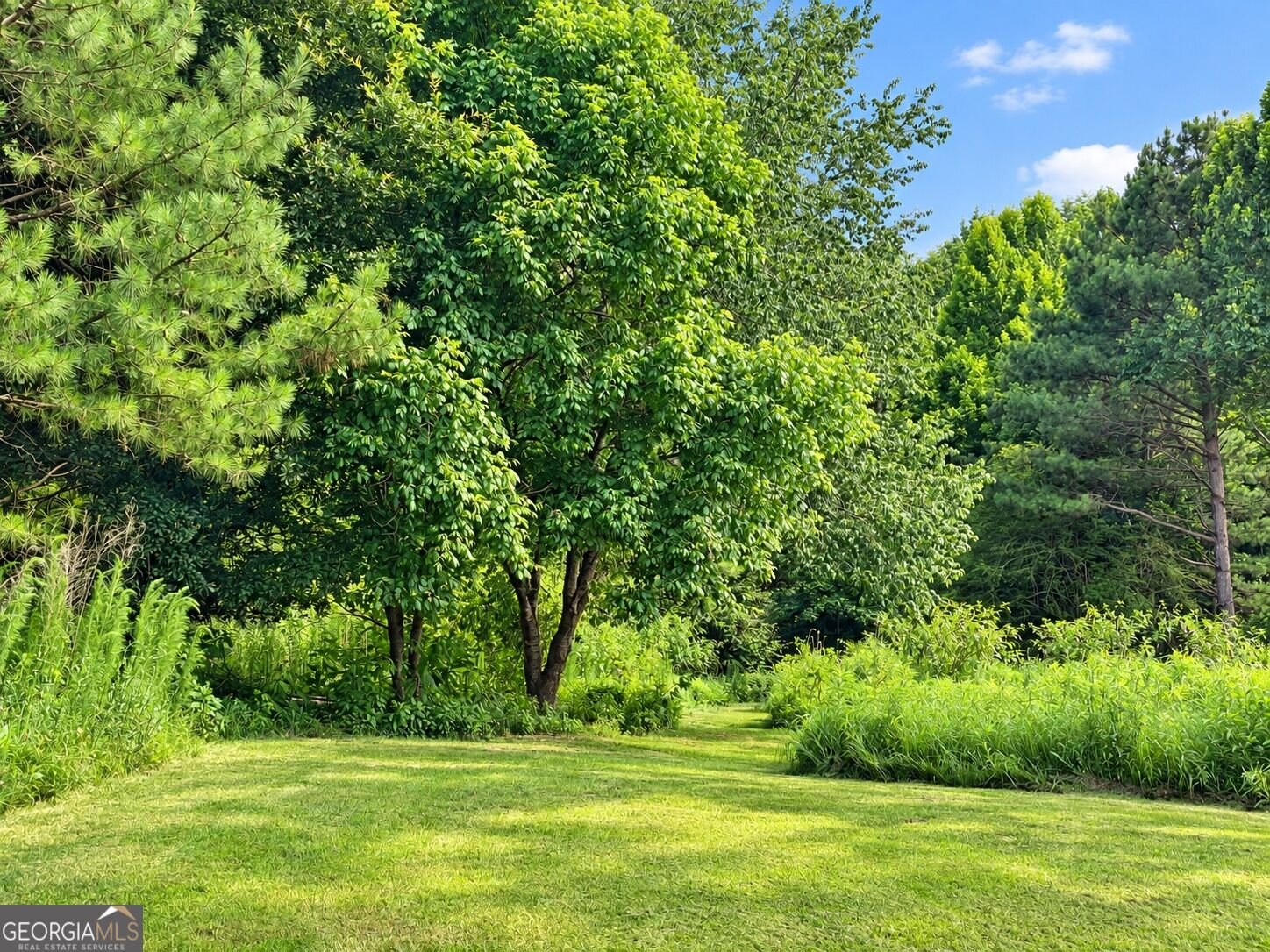 642 Lower Birmingham Road Canton - Photo 62