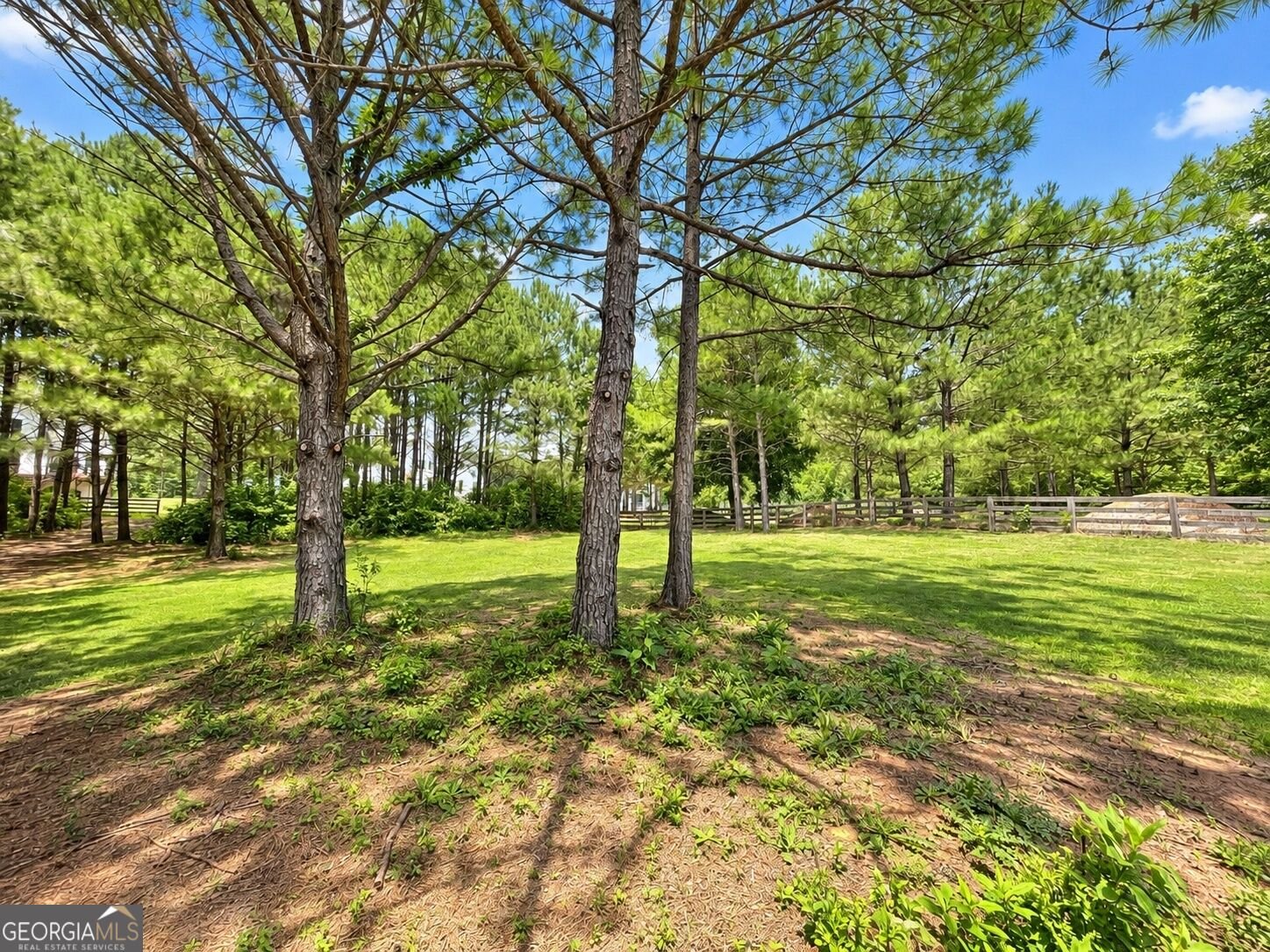 642 Lower Birmingham Road Canton - Photo 66