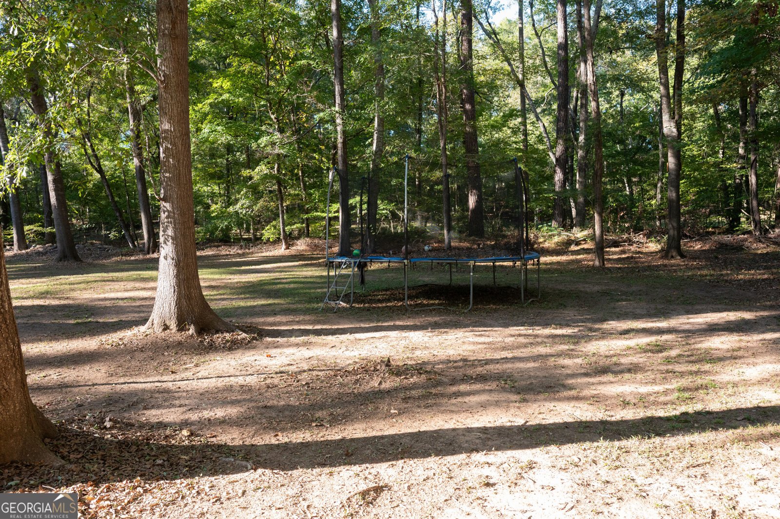 152 Pea Ridge CIR Eatonton - Photo 50