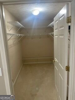 1104 Strath Clyde Way McDonough - Photo 15