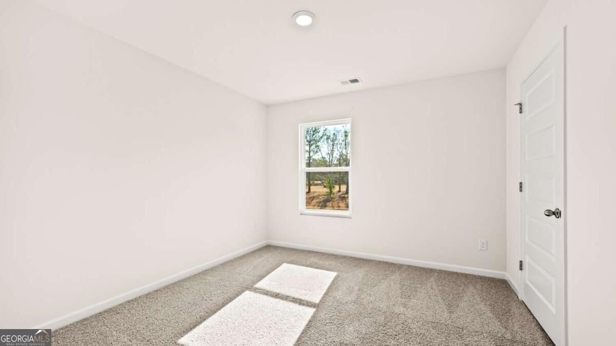 121 White Spruce Way Newnan - Photo 14