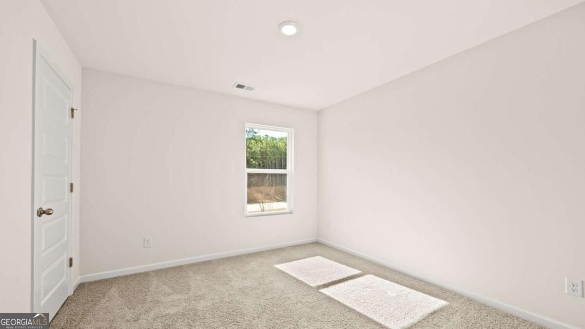 121 White Spruce Way Newnan - Photo 16