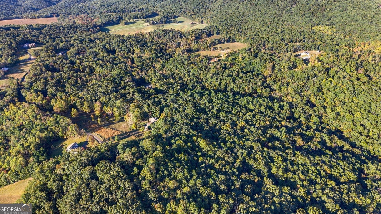 341 Cowart Mountain Road Jasper - Photo 12
