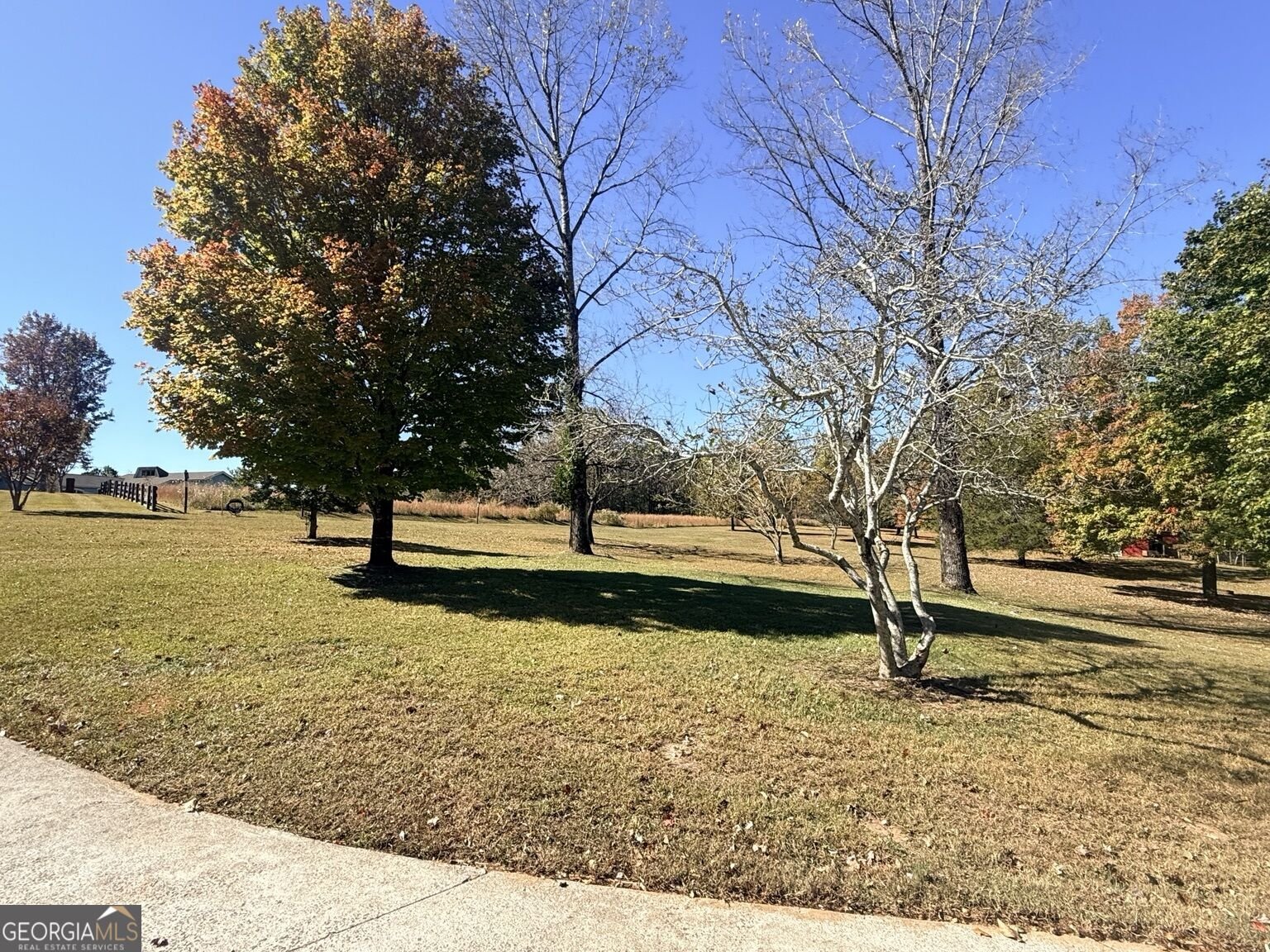 341 Cowart Mountain Road Jasper - Photo 56