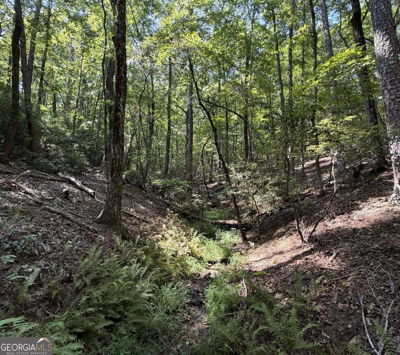 341 Cowart Mountain Road Jasper - Photo 62
