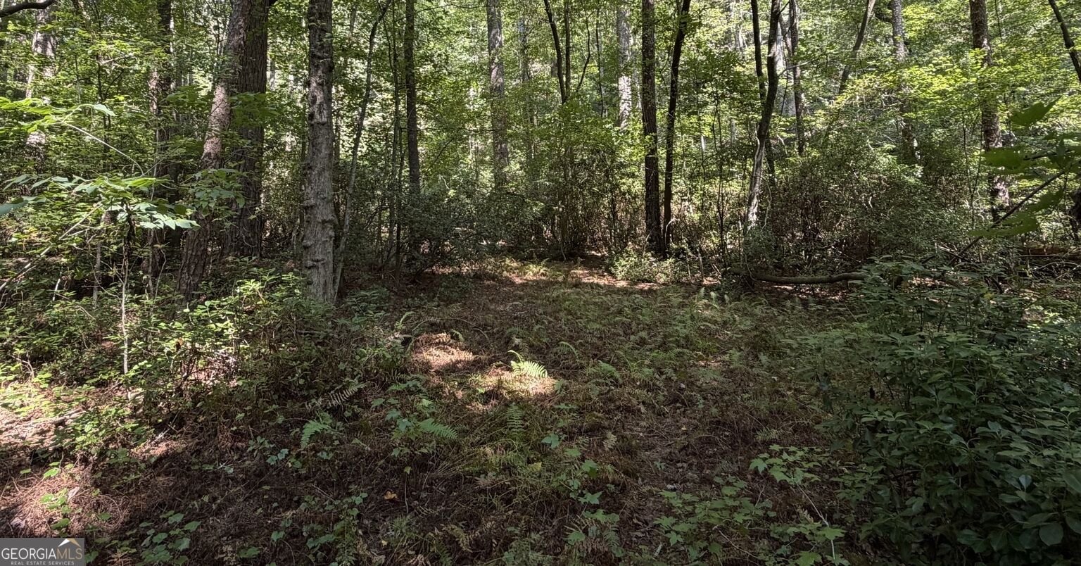 341 Cowart Mountain Road Jasper - Photo 65