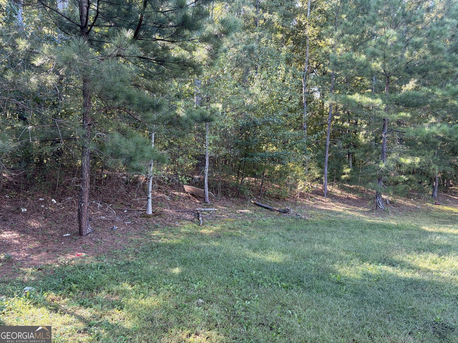 709 Feldwood Lane McDonough - Photo 12