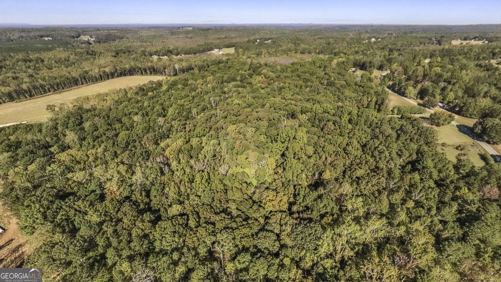 1325 Clem Lowell Road Carrollton - Photo 40