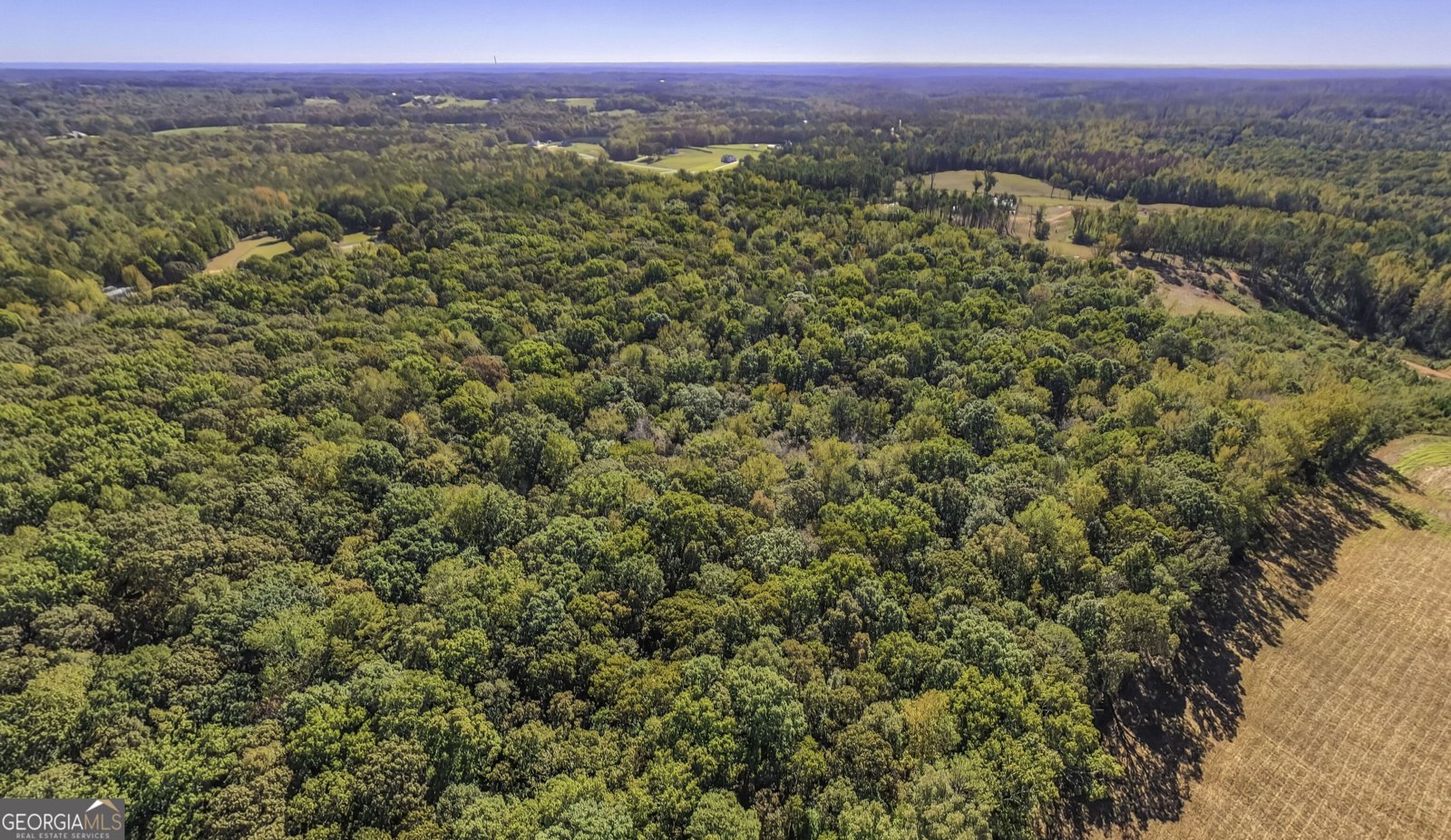 1325 Clem Lowell Road Carrollton - Photo 44