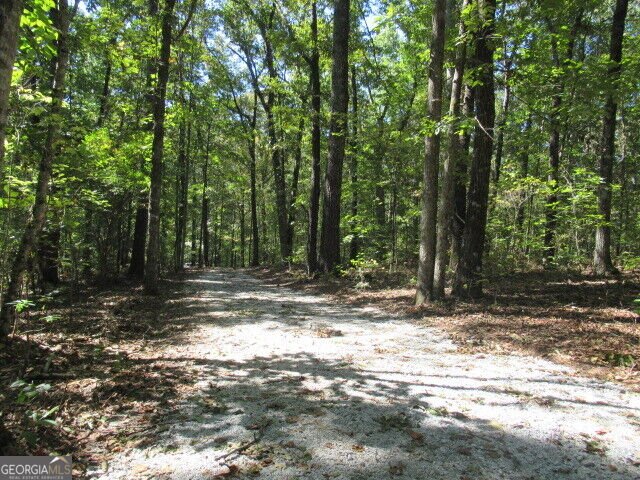 1325 Clem Lowell Road Carrollton - Photo 9
