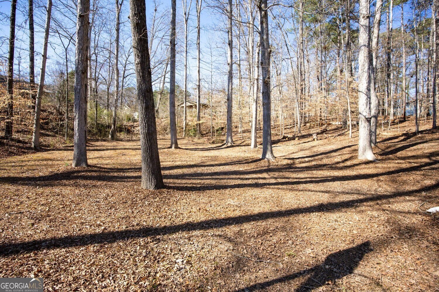 3939 Hillside Lane Douglasville - Photo 27
