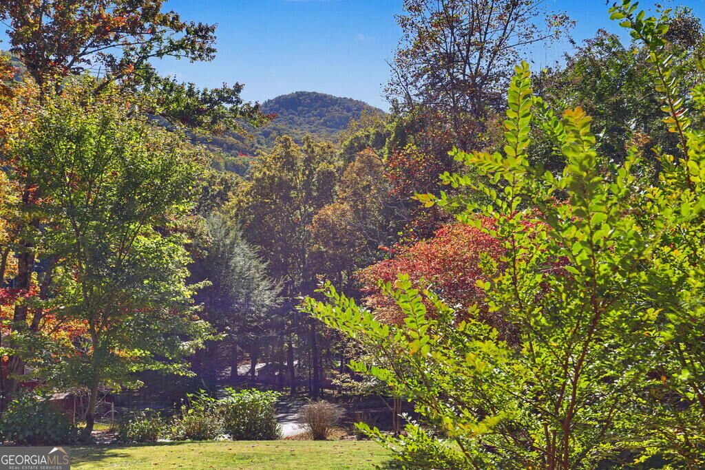 305 Gander Gap Road Hiawassee - Photo 39
