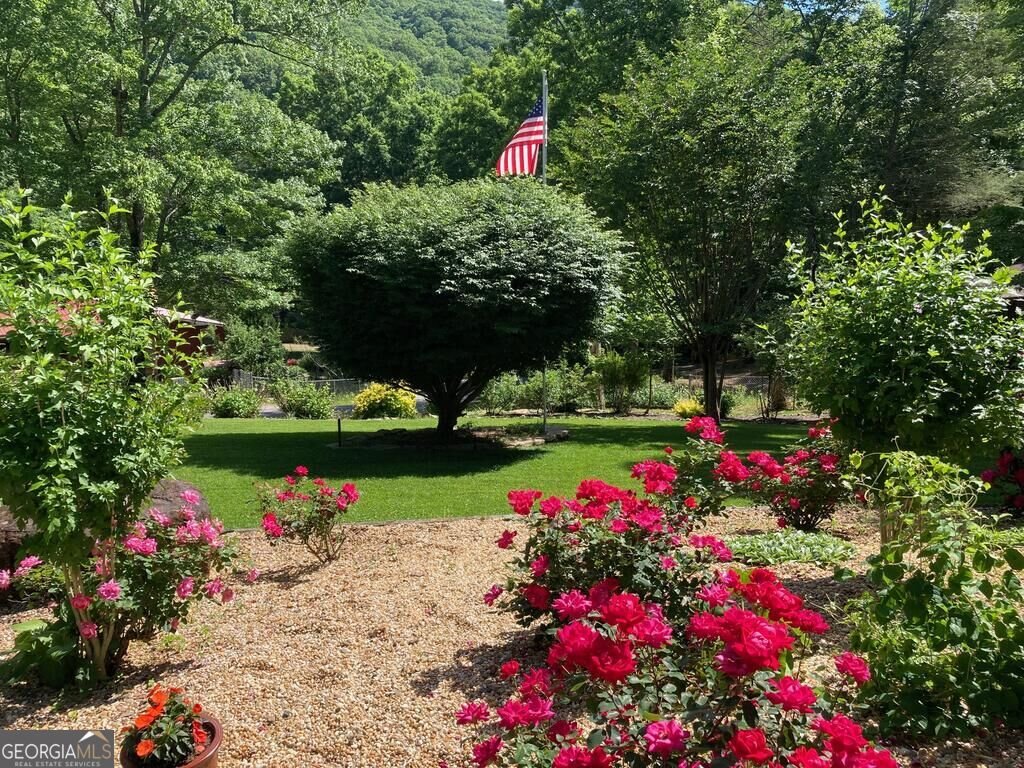 305 Gander Gap Road Hiawassee - Photo 8