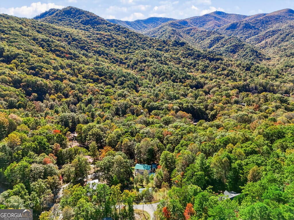 305 Gander Gap Road Hiawassee - Photo 9