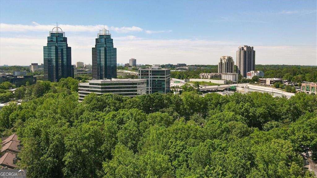 30 Dunwoody Springs Drive Sandy Springs - Photo 24