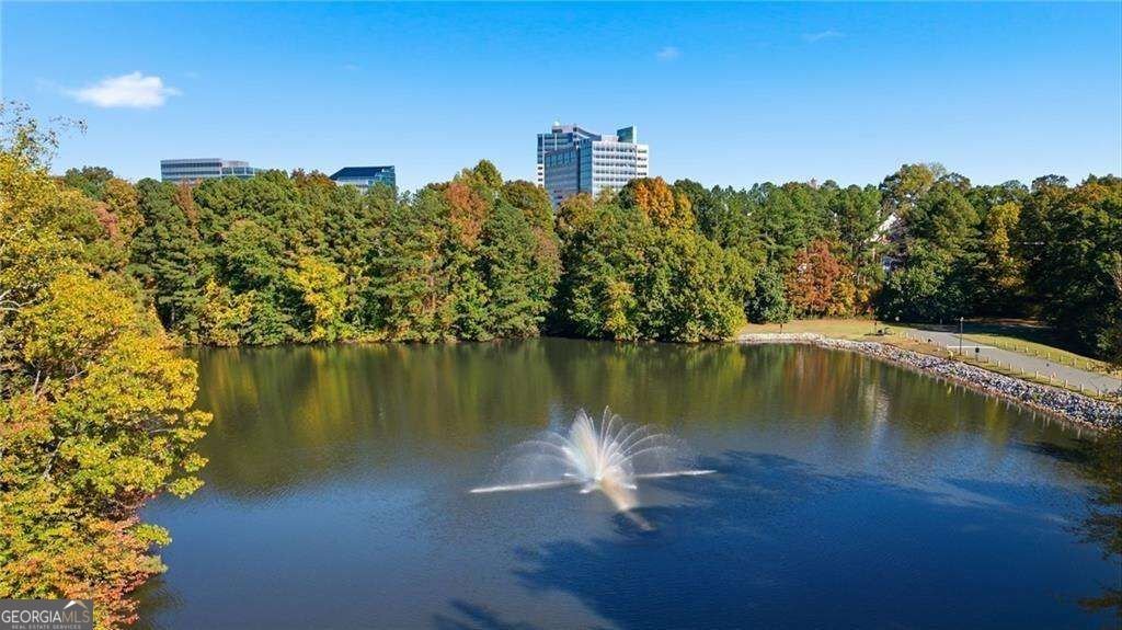 30 Dunwoody Springs Drive Sandy Springs - Photo 27