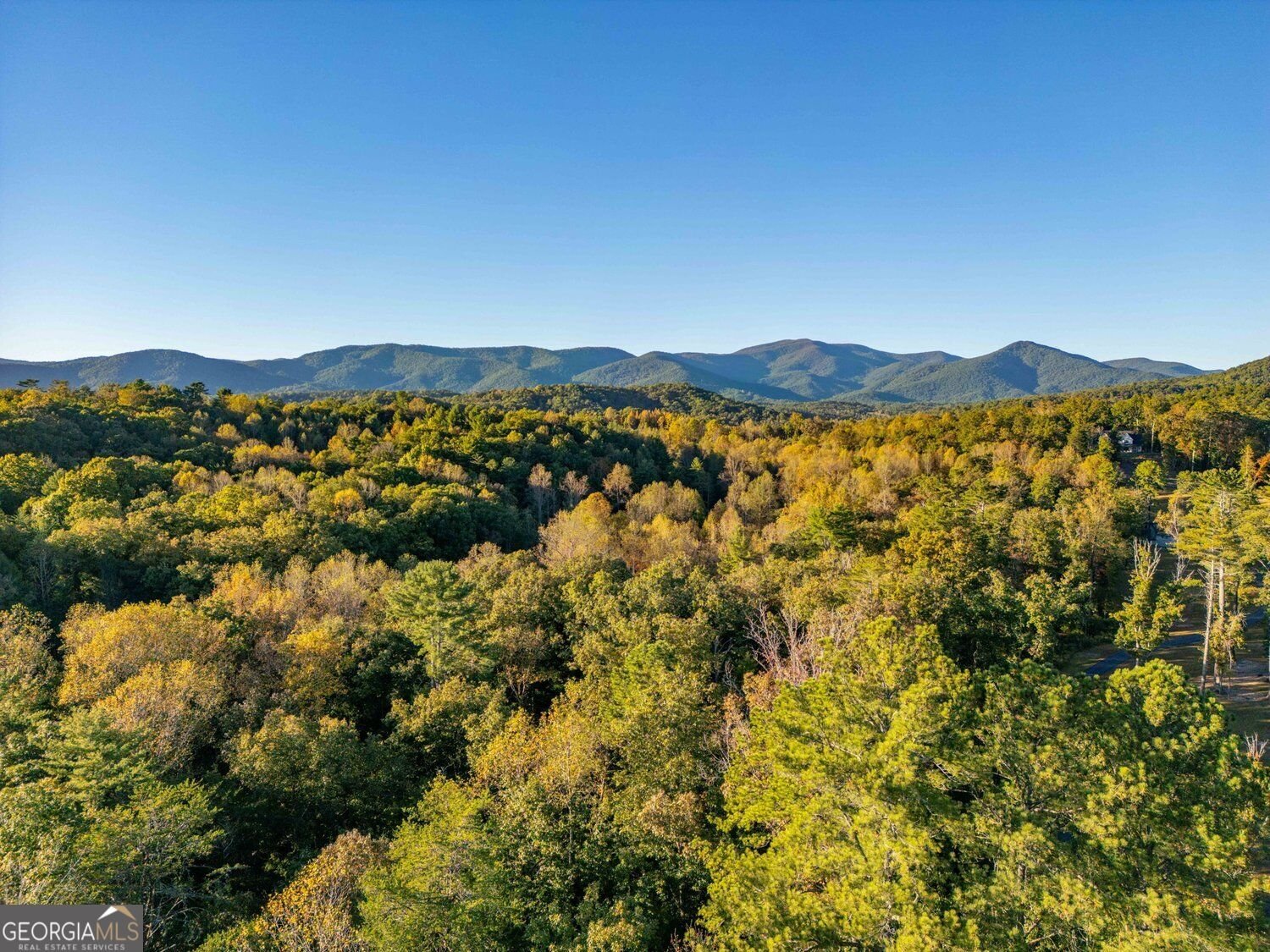 3260 Hwy 255 Sautee Nachoochee - Photo 43