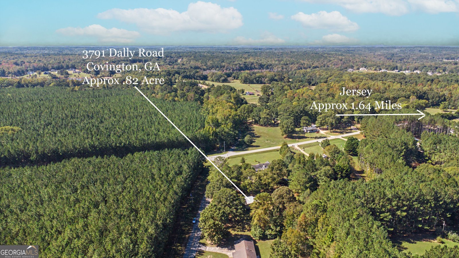 3791 Dally Road Covington - Photo 64