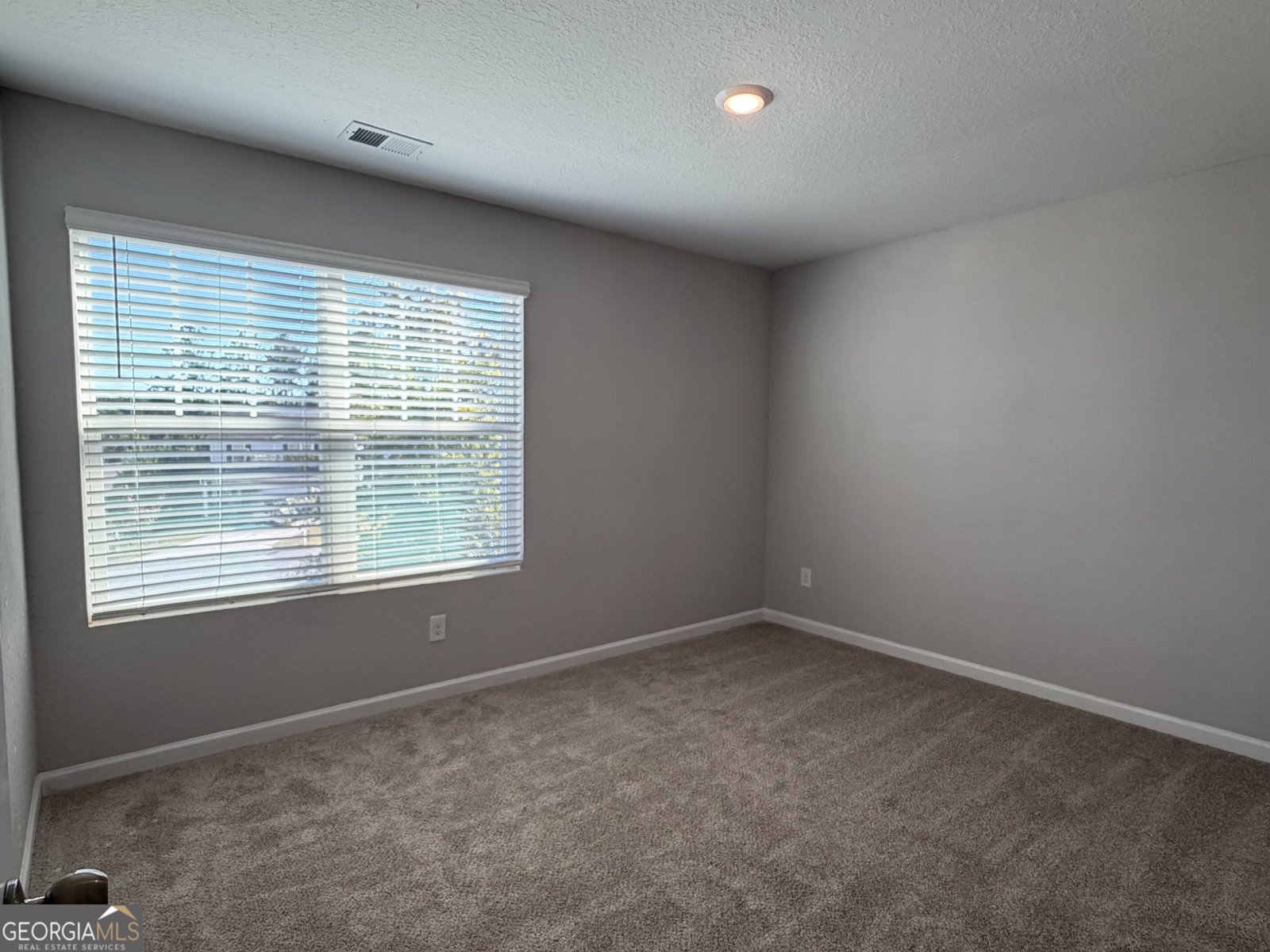 344 Augusta Woods Drive Villa Rica - Photo 31