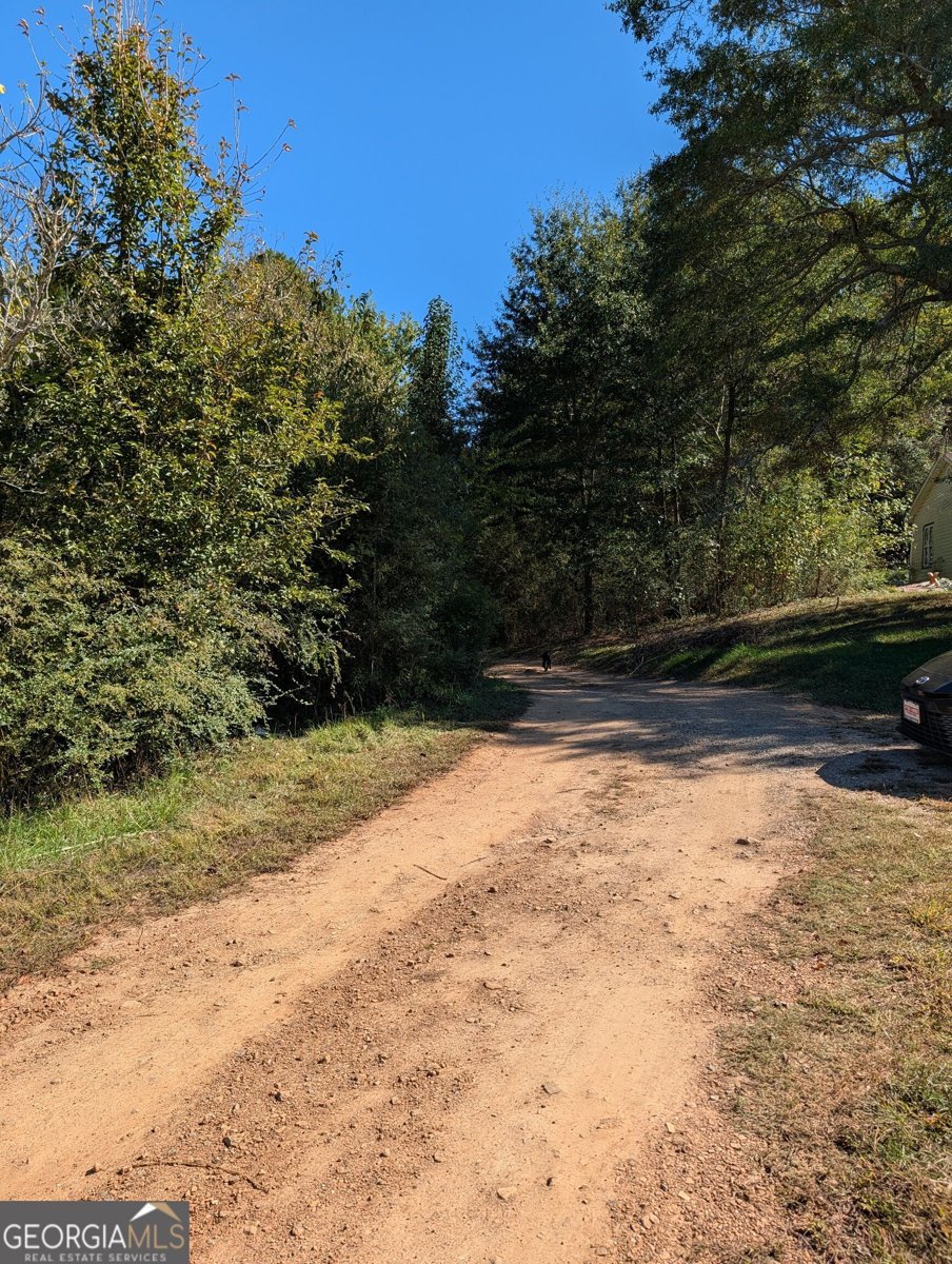 17696 Highway 27 Trion - Photo 6