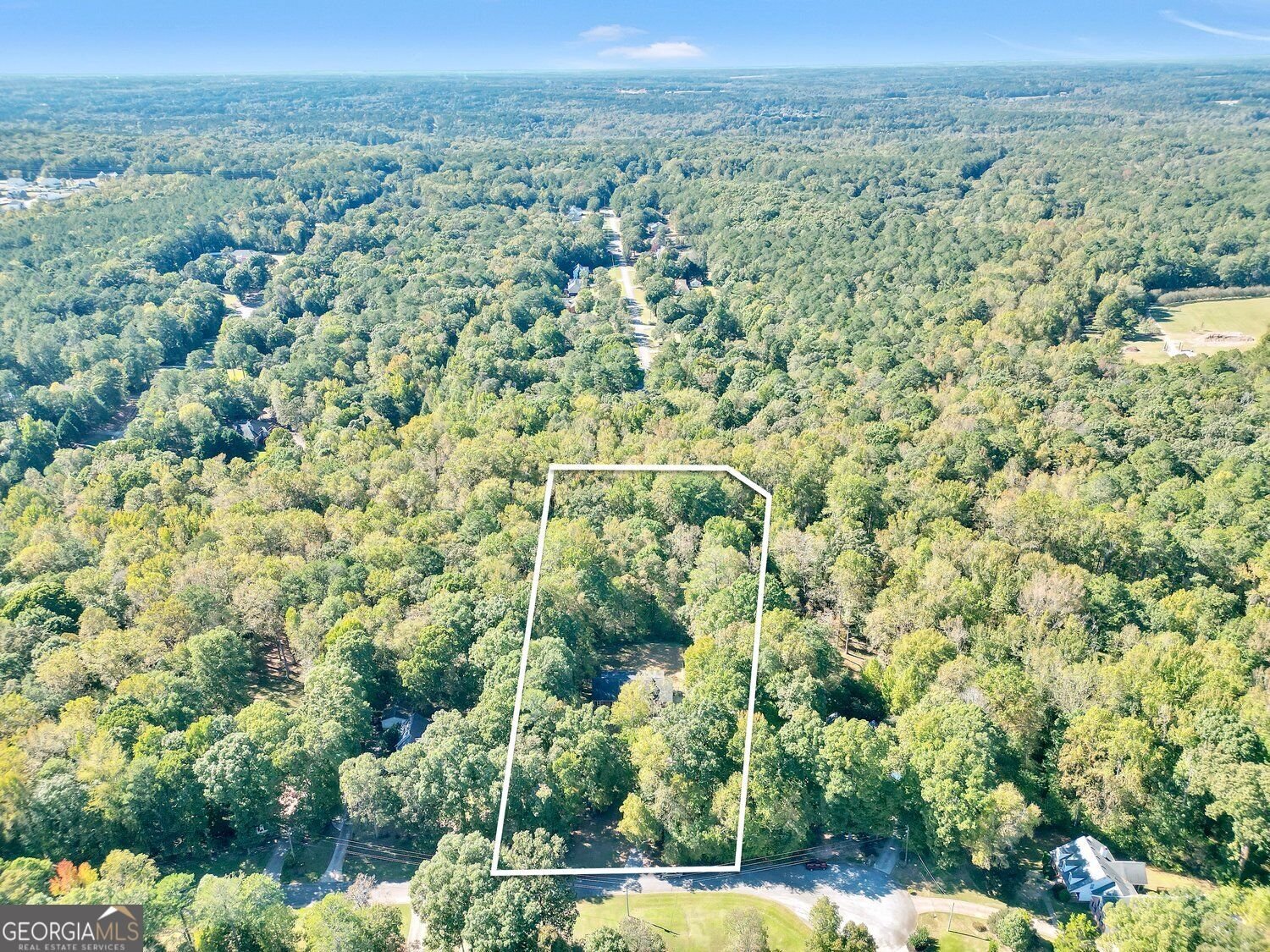 11 The Farm Road McDonough - Photo 58