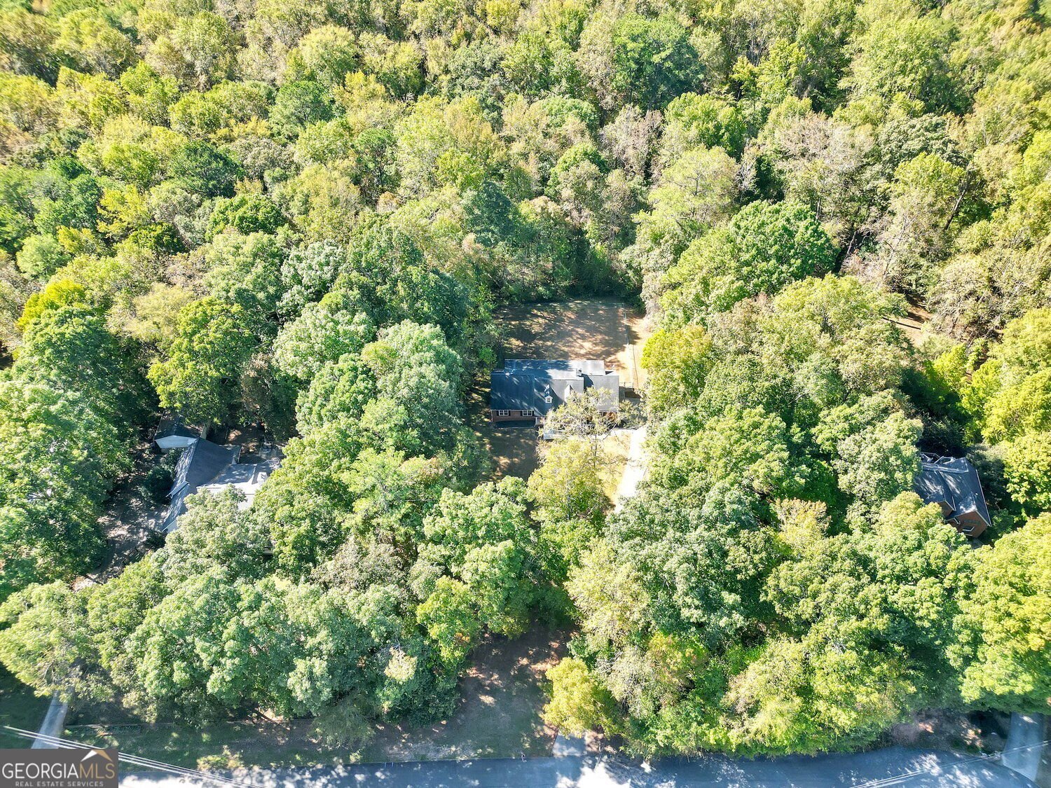 11 The Farm Road McDonough - Photo 59