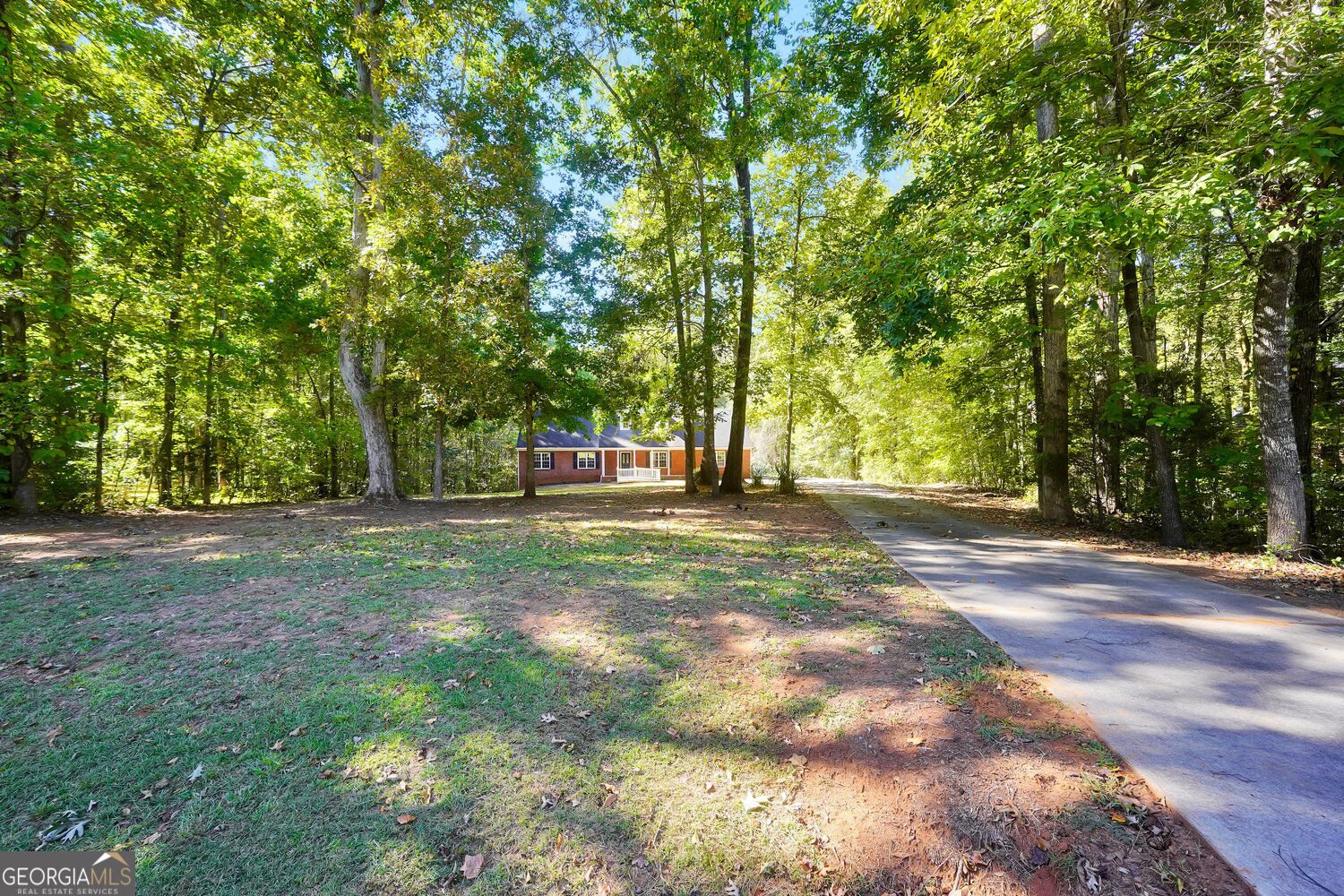 11 The Farm Road McDonough - Photo 66