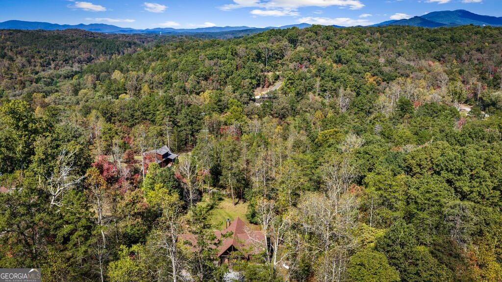 50 Shalom Court Blue Ridge - Photo 98