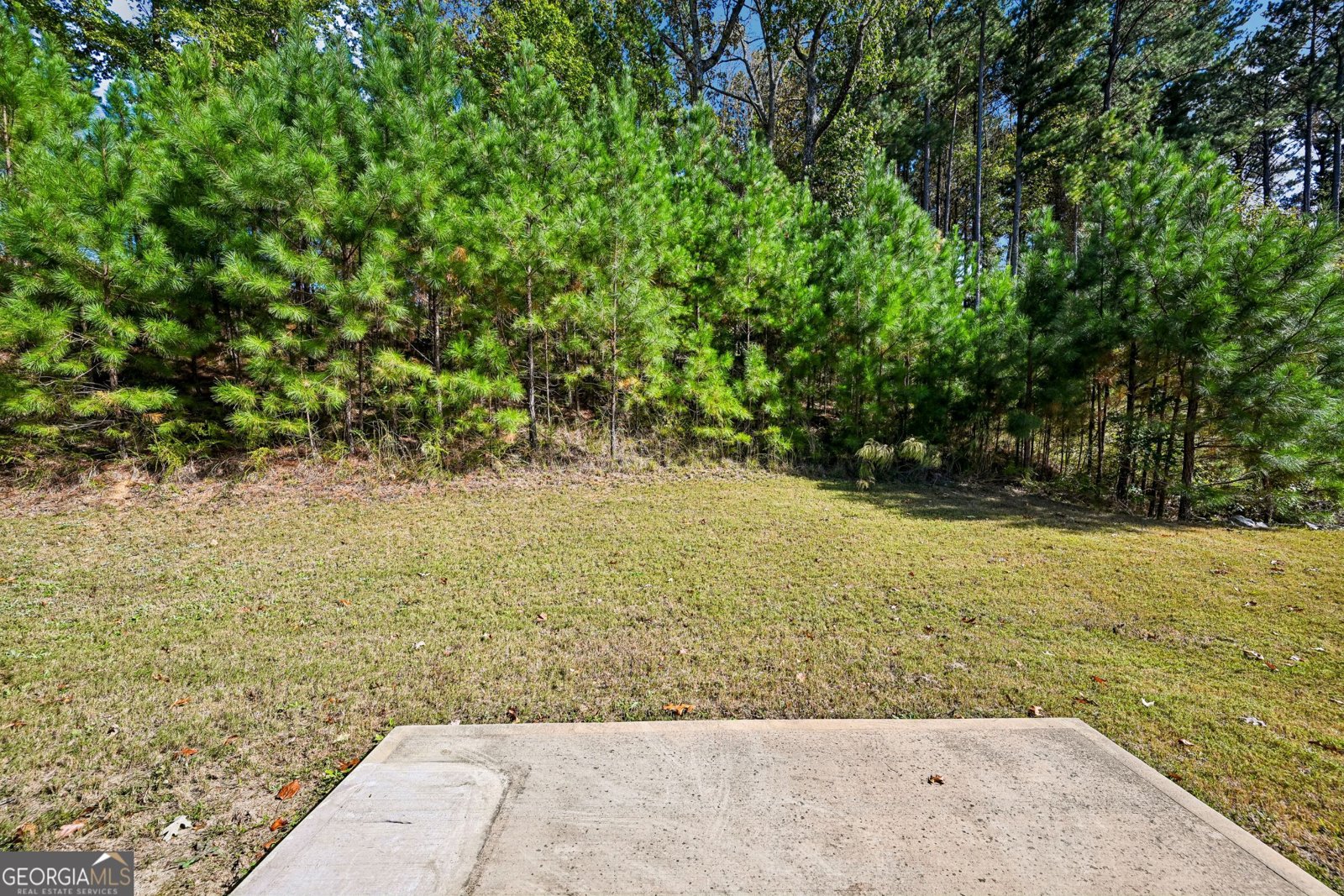 102 Arbor View Trace Dallas - Photo 34