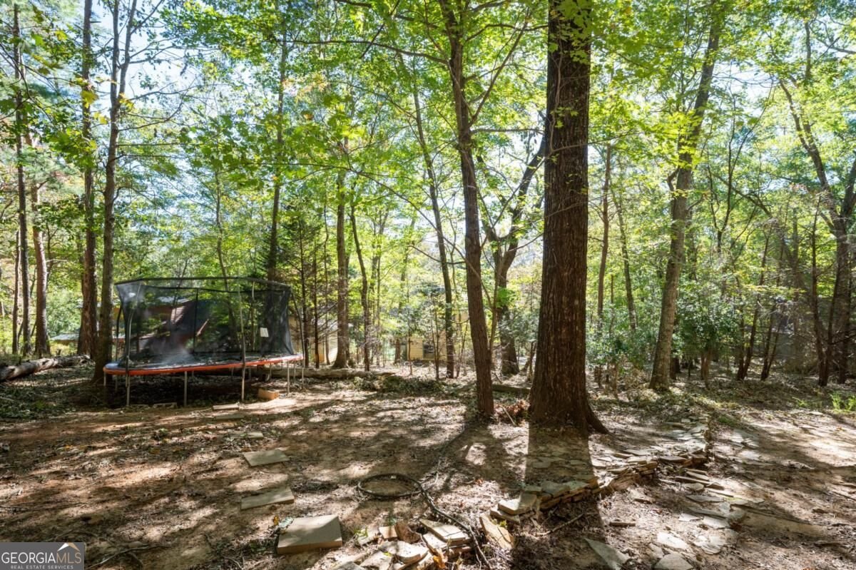 219 Coachwhip Court Jasper - Photo 55
