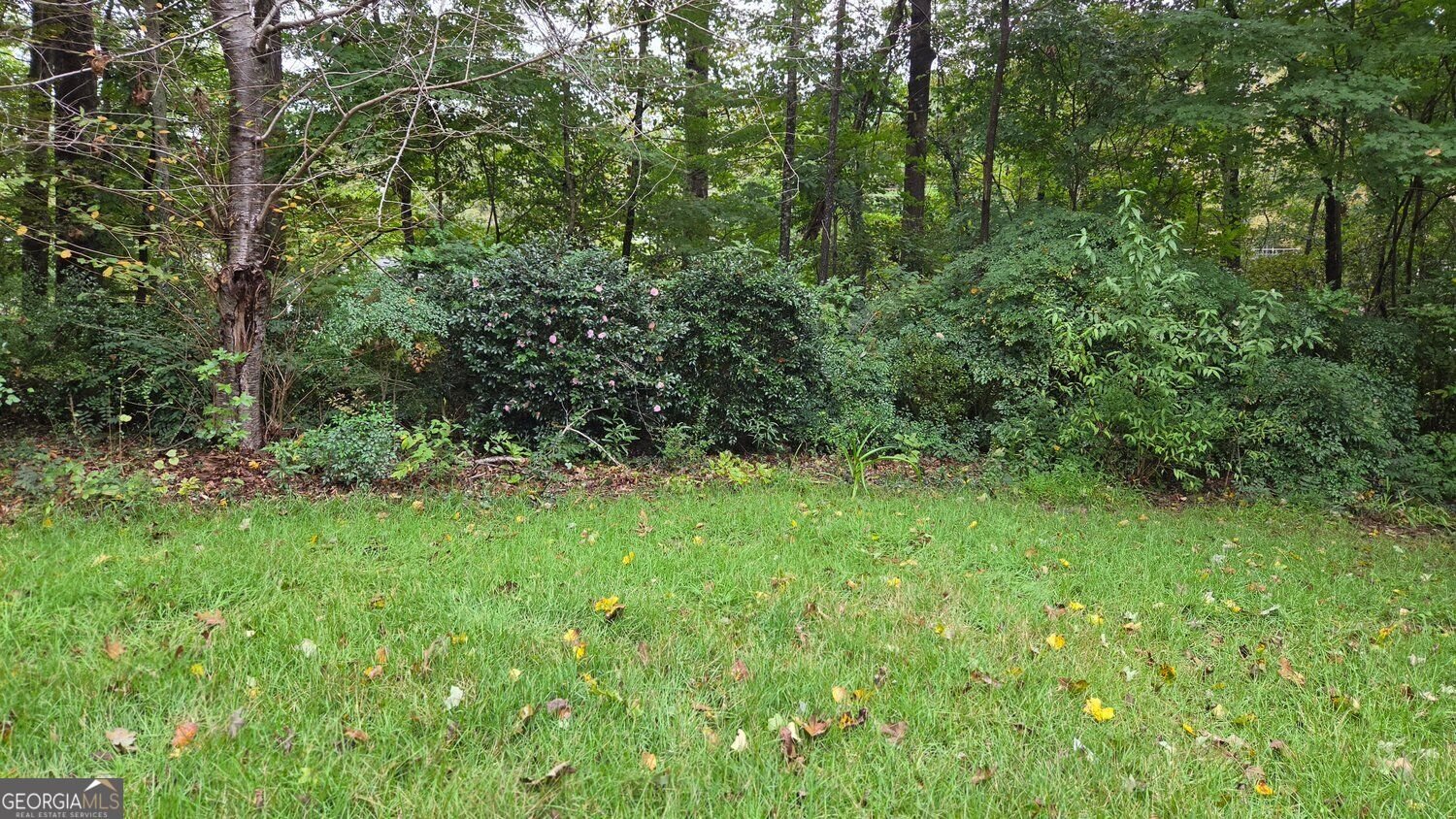 58 Knox Road Powder Springs - Photo 36