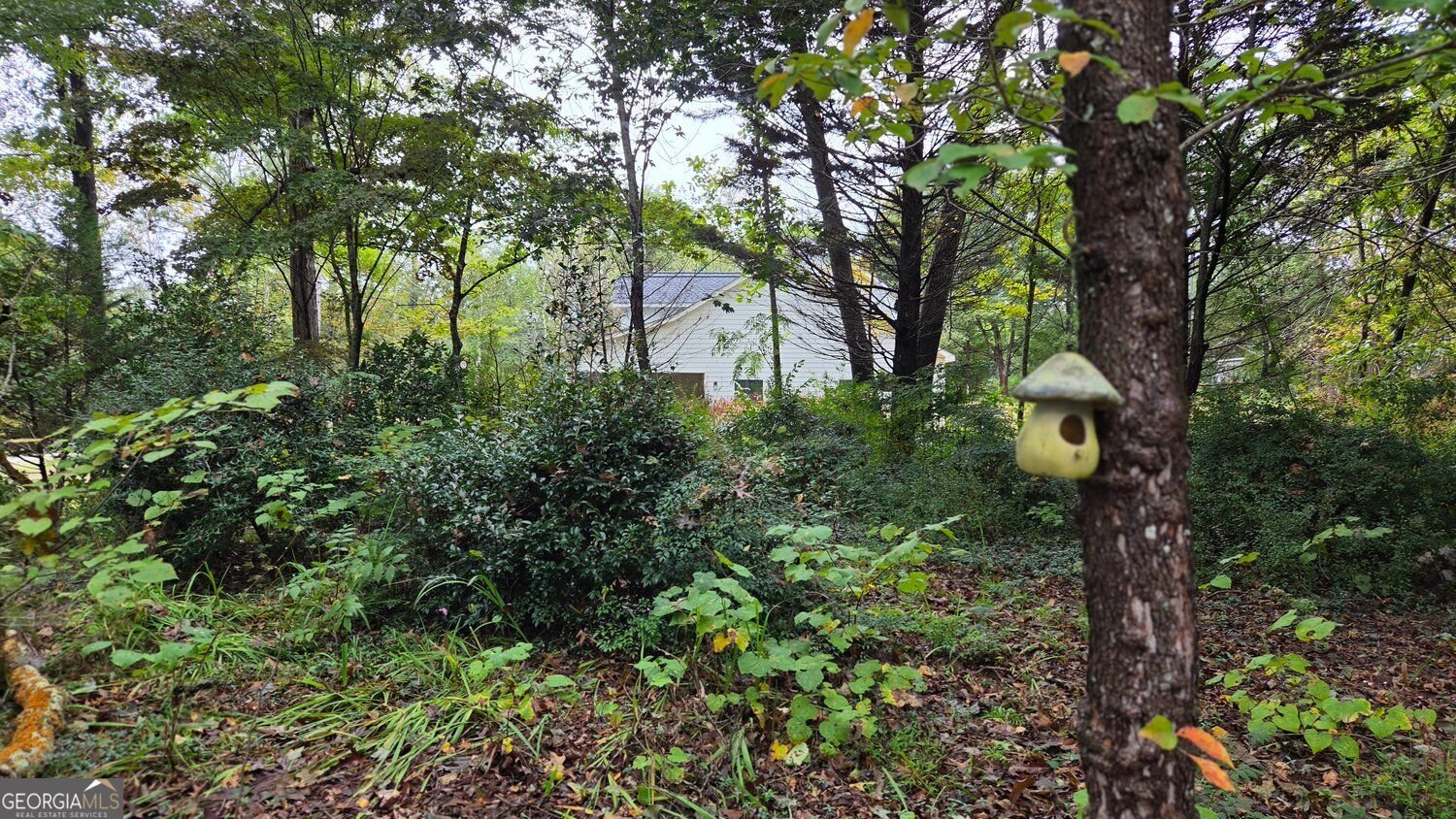 58 Knox Road Powder Springs - Photo 37