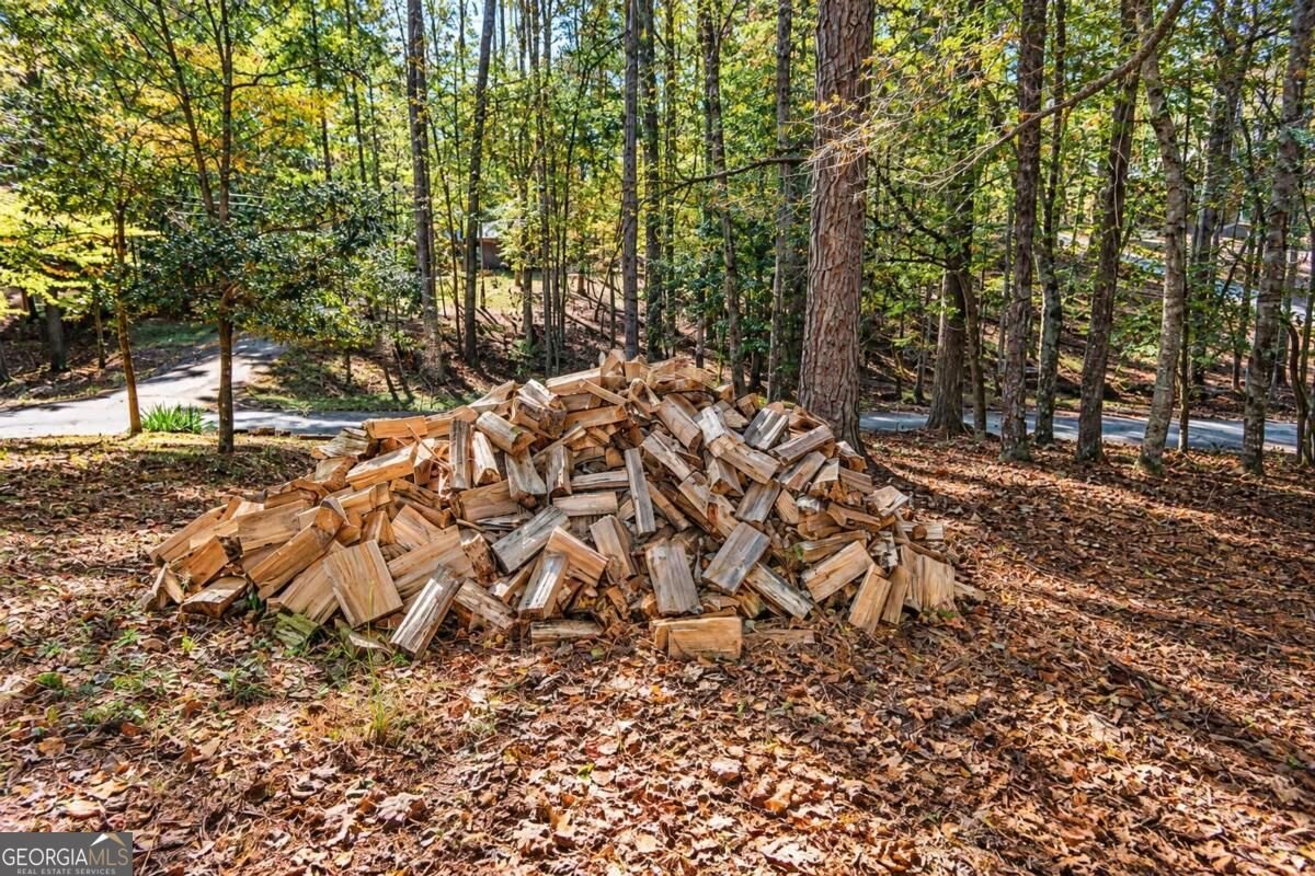 52 Monitor Drive Ellijay - Photo 18