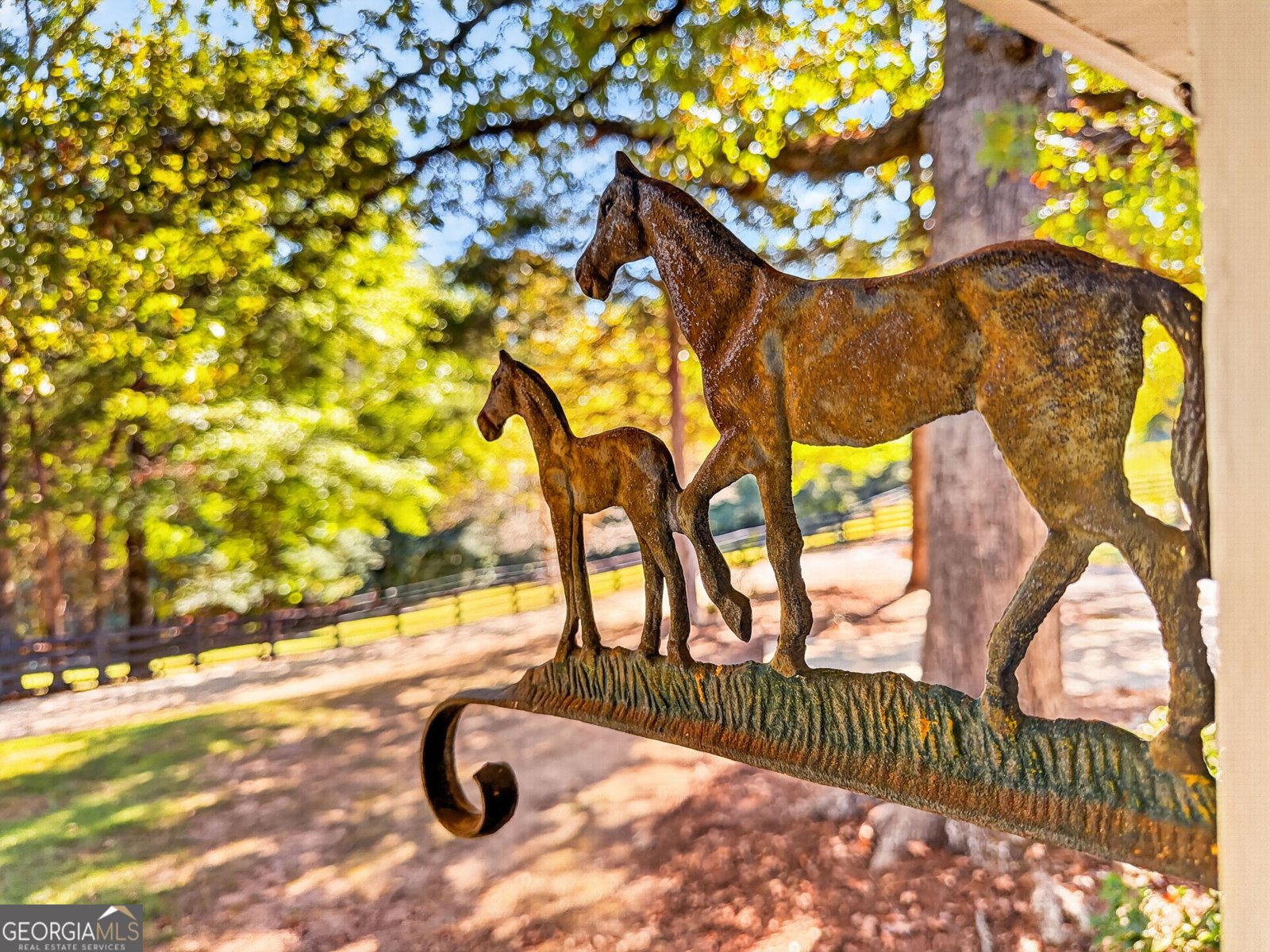 35 Saddleback Farms Drive Newnan - Photo 8