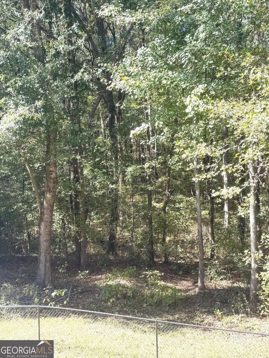115 Morningside Drive Jackson - Photo 28